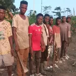 gueyo-pres-de-10-ha-reboises-dans-la-foret-classee-de-la-davo