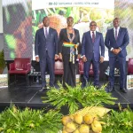 relance-de-la-filiere-coco-en-cote-d-ivoire-un-symposium-international-pour-redynamiser-le-secteur