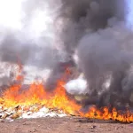 lutte-contre-la-drogue-plus-de-22-319-tonnes-de-produits-prohibes-incineres-par-la-dpsd-a-korhogo