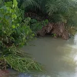 drame-a-bangolo-parti-a-la-recherche-de-feuilles-et-des-racines-un-tradi-praticien-se-noie-dans-une-riviere