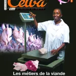 medias-le-12e-numero-de-cewa-mag-disponible