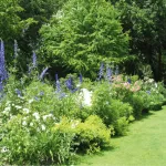 comment-redorer-les-haies-pour-disposer-d-un-jardin-impeccable