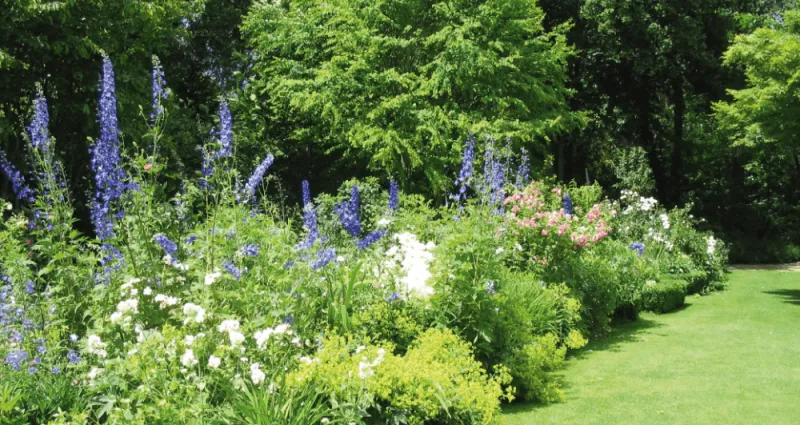 comment-redorer-les-haies-pour-disposer-d-un-jardin-impeccable