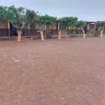 affaire-prime-des-enseignants-le-mot-d-ordre-de-greve-de-ce-jour-respecte-a-plus-de-80-selon-le-cep