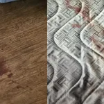 tir-accidentel-a-repentigny-canada-une-jeune-femme-grievement-blessee-par-un-voisin-alcoolise