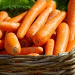 carottes-astuces-infaillibles-pour-une-conservation-prolongee