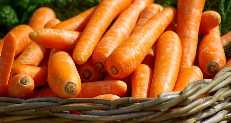 carottes-astuces-infaillibles-pour-une-conservation-prolongee