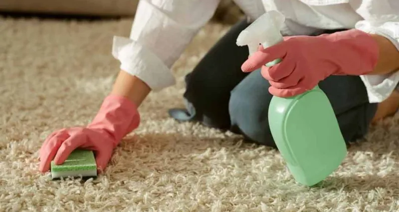 desodoriser-son-tapis-4-astuces-simples-et-efficaces-contre-les-mauvaises-odeurs