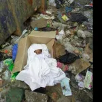 macabre-decouverte-a-akouedo-des-corps-de-bebes-retrouves-pres-d-une-decharge-d-ordure-un-riverain-temoigne