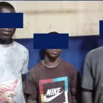 immeuble-pyramide-3-individus-interpeles-pour-vol-de-materiaux-de-construction