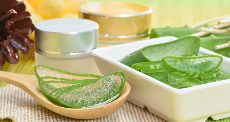 les-secrets-de-l-aloe-vera-une-plante-magique-pour-sublimer-votre-peau-et-vos-cheveux