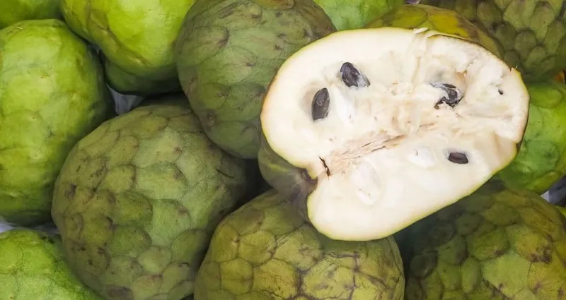 cherimoya-un-fruit-delicieux-aux-bienfaits-insoupconnes-et-ses-usages-varies