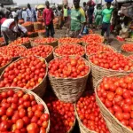 entrepreneuriat-au-burkina-faso-la-premiere-usine-de-transformation-de-tomates-tourne-deja-a-plein-regime