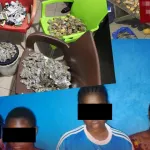 abobo-la-drogue-ecoulee-aux-alentours-de-la-mairie-4-jeunes-filles-interpellees-par-la-police