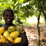 premier-festival-cafe-cacao-une-celebration-de-la-richesse-et-des-opportunites-de-la-filiere