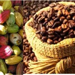 rdc-le-marche-europeen-exclu-du-cafe-cacao-des-janvier-2025-ce-qui-l-en-est