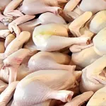 29-decembre-2006-filiere-avicole-plus-de-15-tonnes-de-poulets-saisies