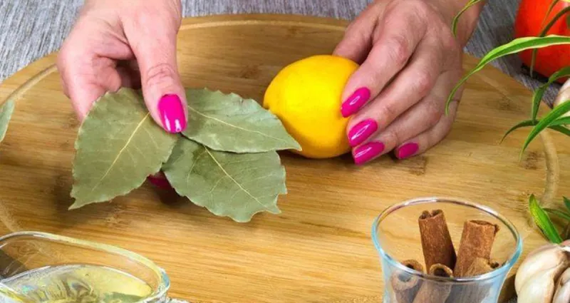 laurier-et-citron-l-astuce-naturelle-pour-un-environnement-sain-et-apaisant