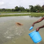 securite-alimentaire-le-gouvernement-intensifie-les-efforts-pour-accroitre-la-production-de-viande-et-de-poisson