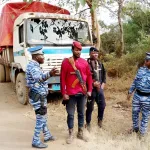 cacao-comment-la-guinee-fait-perdre-des-milliards-a-la-cote-d-ivoire