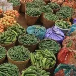 activites-economiques-quelle-cle-de-repartition-des-taches-selon-les-secteurs-primaire-secondaire-et-tertiaire