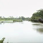 pollution-l-eau-et-les-produits-issus-de-la-riviere-niounourou-interdits-de-consommation-jusqu-a-nouvel-ordre