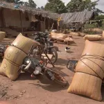 cote-d-ivoire-le-gouvernement-durcit-le-ton-contre-les-trafics-de-cacao-le-pdci-dejoue-un-gros-piege