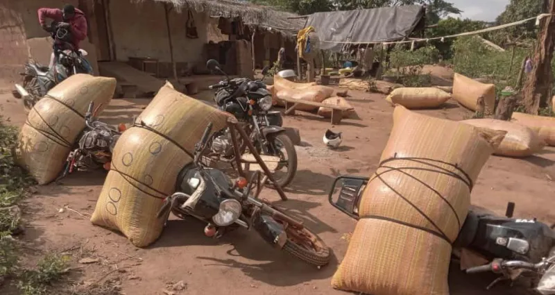 cote-d-ivoire-le-gouvernement-durcit-le-ton-contre-les-trafics-de-cacao-le-pdci-dejoue-un-gros-piege