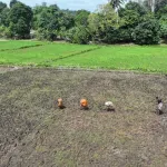 lutte-contre-la-pauvrete-les-filets-sociaux-productifs-transforment-la-vie-des-femmes-de-diatokro