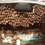 port-bouet-la-gendarmerie-met-la-main-sur-des-medicaments-illicites-dissimules-dans-un-chargement-de-manioc