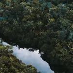 restauration-des-paysages-plusieurs-initiatives-africaines-rejoignent-le-reseau-global-landscapes-forum-glf