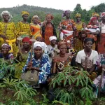 bafing-une-cooperative-agricole-de-femmes-revolutionne-l-autonomie-financiere