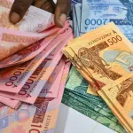 volatilite-des-devises-la-bad-propose-une-monnaie-africaine-adossee-aux-minerais