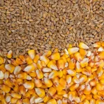 tchad-le-marechal-deby-baisse-les-taxes-sur-les-cereales-pour-contrer-la-crise-alimentaire