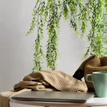interieur-4-plantes-depolluantes-increvables-pour-assainir-l-air-de-votre-maison