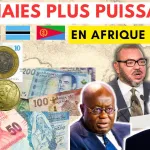 top-10-des-monnaies-les-plus-fortes-d-afrique-voici-pourquoi-le-fcfa-n-y-figure-pas