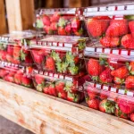 conserver-les-fraises-astuces-pour-prolonger-leur-fraicheur-et-eviter-le-gachis
