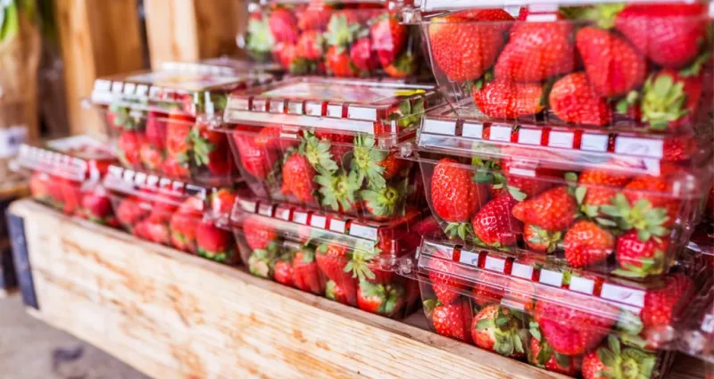 conserver-les-fraises-astuces-pour-prolonger-leur-fraicheur-et-eviter-le-gachis
