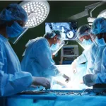 comercialisation-d-organes-humains-le-nigeria-durcit-sa-legislation-sur-les-greffes-d-organes