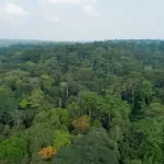 protection-de-la-faune-et-de-la-flore-une-nouvelle-reserve-naturelle-de-49-hectares-annoncee-a-rubino