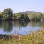 zambie-une-entreprise-etrangere-deverse-accidentellement-des-dechets-toxiques-dans-la-riviere-kafue