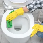 des-toilettes-impeccables-et-fraiches-grace-au-vinaigre-blanc-la-solution-naturelle-et-economique