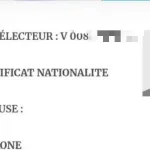 liste-electorale-la-cei-s-explique-sur-les-cas-de-noms-de-famille-mentionnes-certificat-de-nationalite
