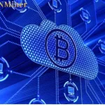 en-debloquant-50-000-usd-de-revenus-quotidiens-dnminer-est-a-la-pointe-de-la-nouvelle-tendance-du-secteur