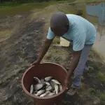 de-banquier-a-vendeur-de-poissons-l-incroyable-reconversion-d-amoikon-eponon