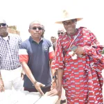 renforcement-du-reseaux-electrique-le-village-de-bodo-recoit-de-nouveaux-poteaux-electriques