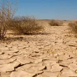 journee-mondiale-de-la-desertification-et-de-la-secheresse-restaurer-les-terres-ouvrir-de-nouvelles-perspectives