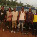 singrobo-6-voleurs-de-boeufs-interceptes-en-pleine-nuit-au-peage-par-la-gendarmerie