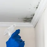 plafond-6-astuces-pour-nettoyer-votre-plafond-facilement-et-le-laisser-sans-traces