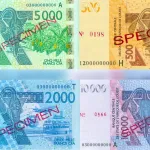 franc-cfa-ce-qu-il-faut-savoir-de-la-lettre-alphabetique-apposee-sur-les-billets-de-banque